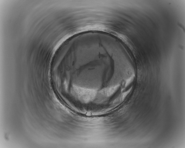 X0000099931331200806131353