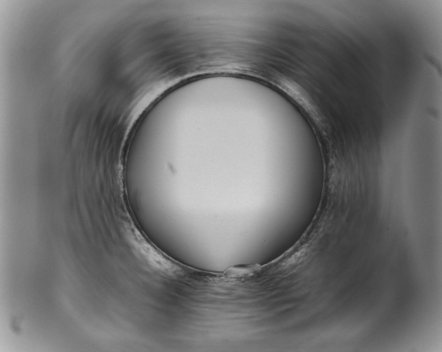 X0000099931332200806131353