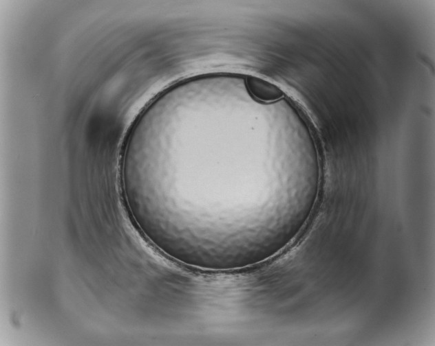 X0000099931333200806131353