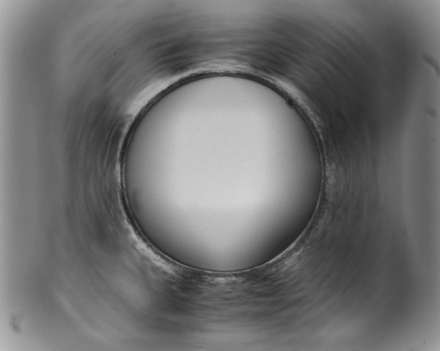 X0000099931335200806131354