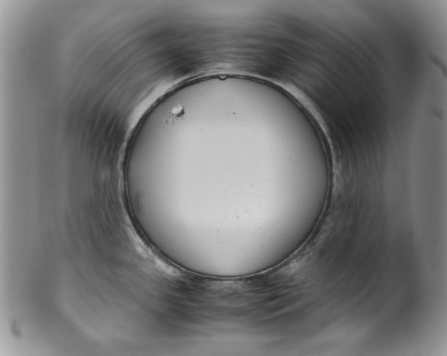 X0000099931341200806131354