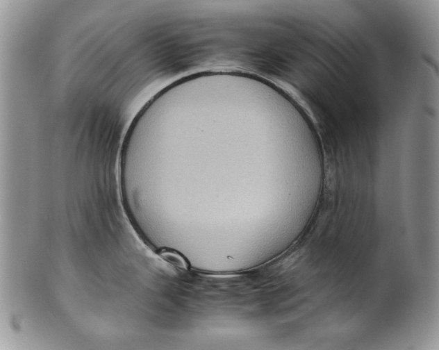 X0000099931343200806131354