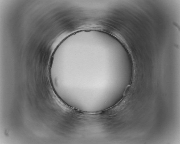 X0000099931344200806131354