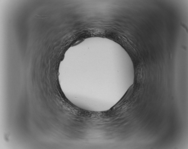 X0000099931345200806131353