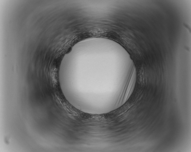 X0000099931346200806131353