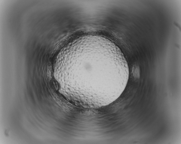 X0000099931348200806131353