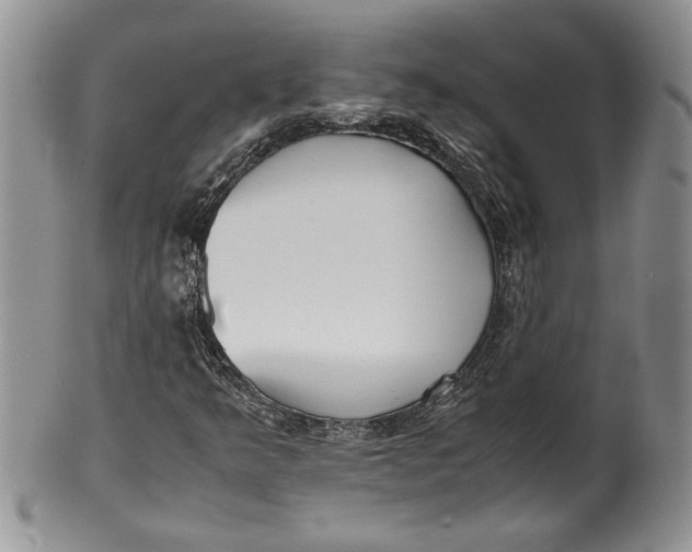 X0000099931349200806131353