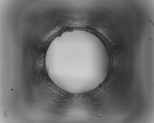 X0000099931350200806131353