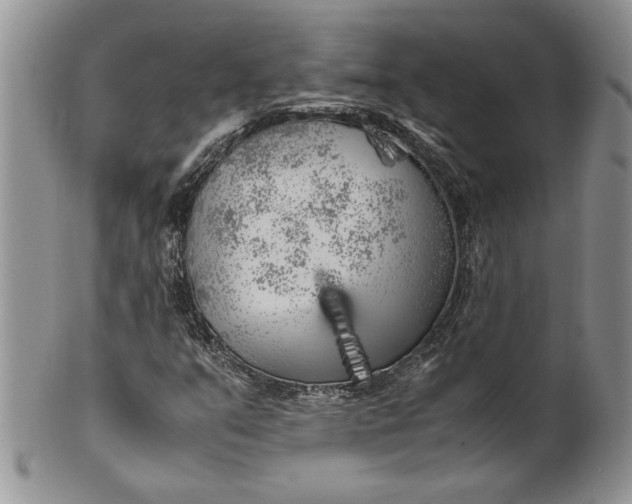 X0000099931351200806131353