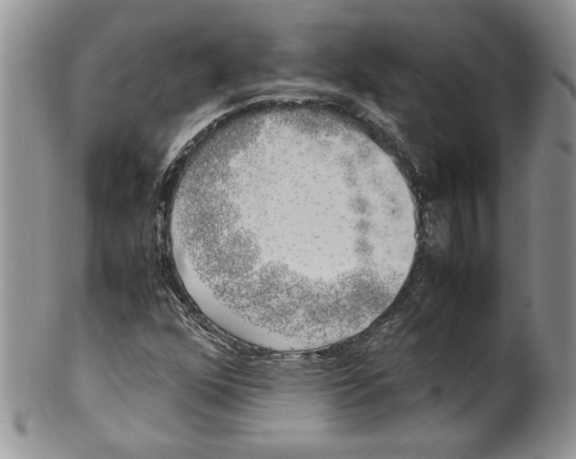 X0000099931352200806131353