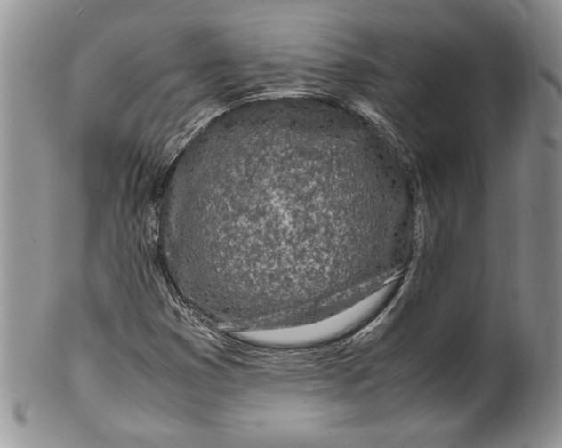 X0000099931353200806131353