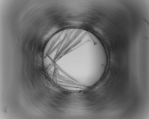 X0000099931354200806131353