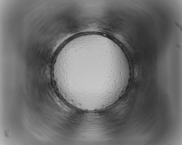 X0000099931356200806131353