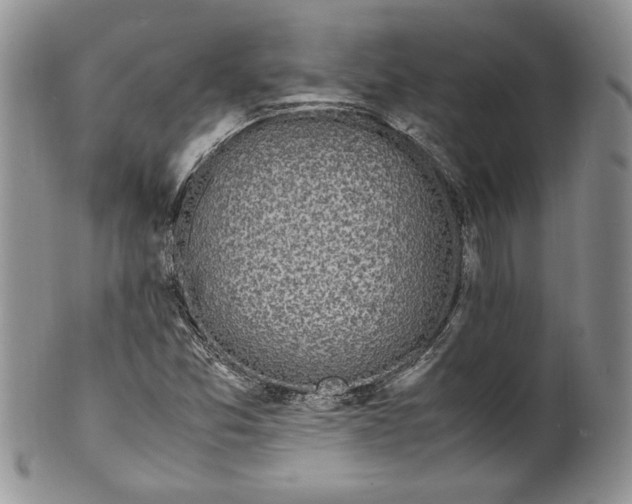 X0000099931357200806131353