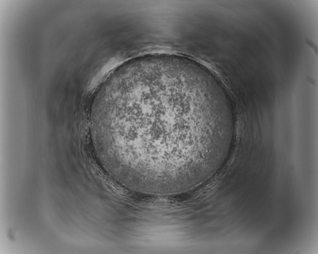 X0000099931359200806131353