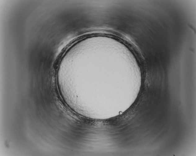 X0000099931360200806131353