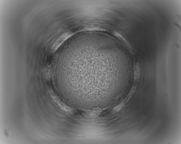 X0000099931361200806131353