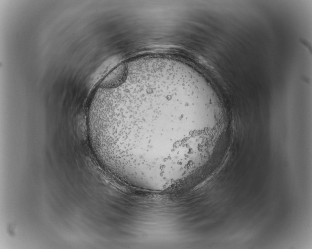 X0000099931362200806131353