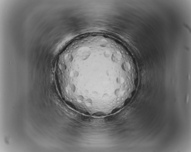 X0000099931363200806131353