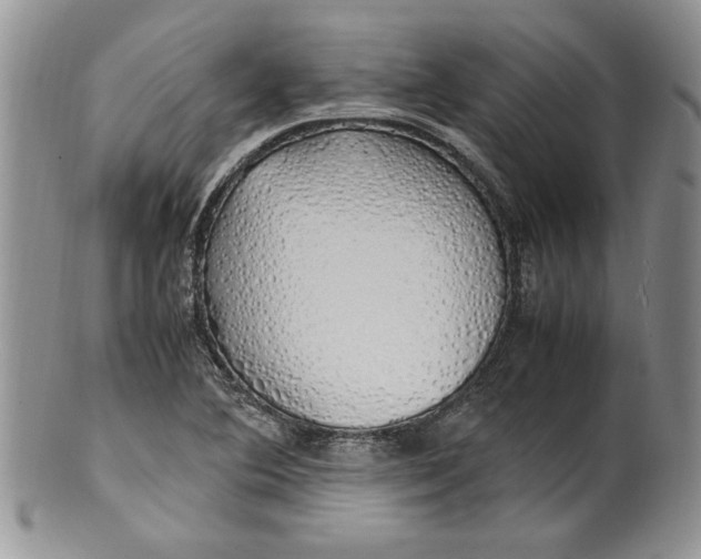 X0000099931364200806131353