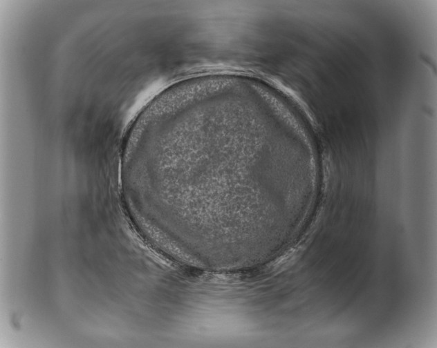 X0000099931365200806131353