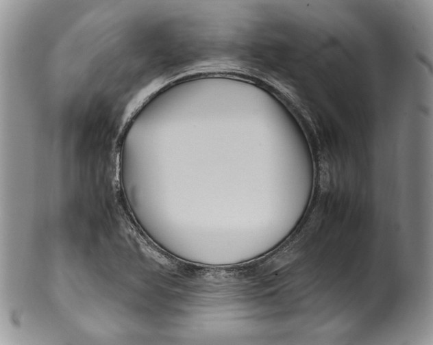 X0000099931366200806131353