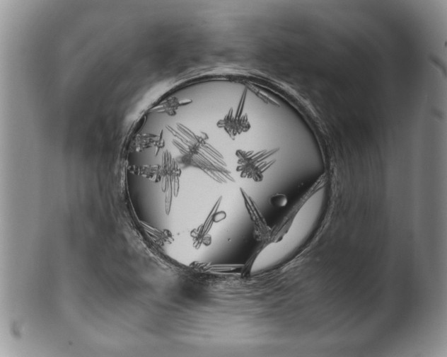 X0000099931367200806131353