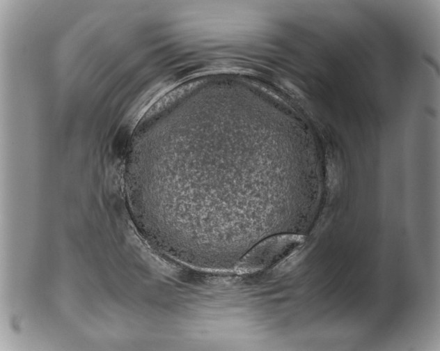 X0000099931369200806131352