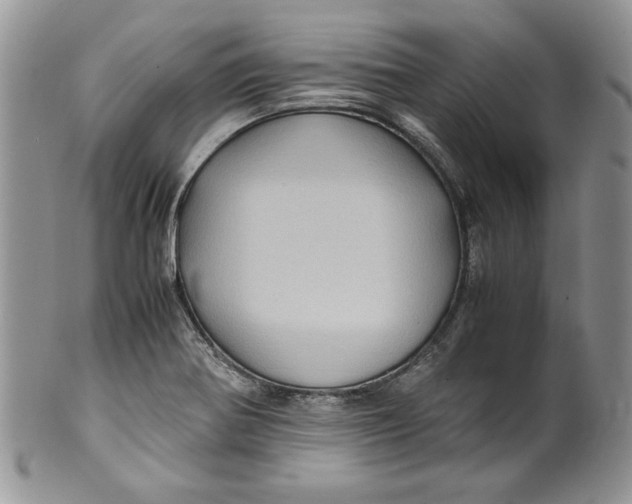 X0000099931370200806131352