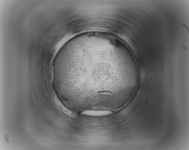 X0000099931371200806131352