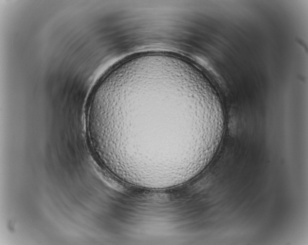 X0000099931372200806131352