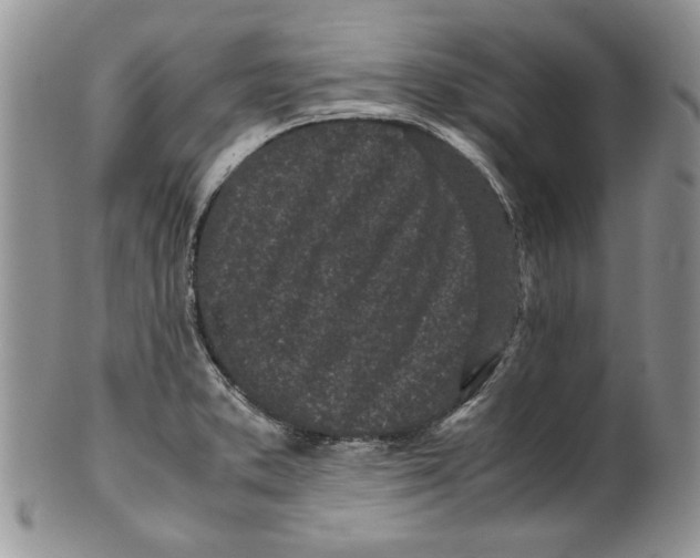 X0000099931373200806131352