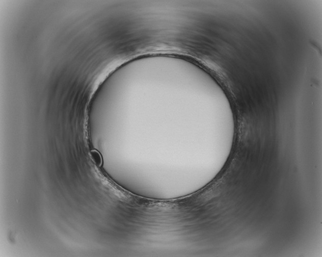 X0000099931374200806131352