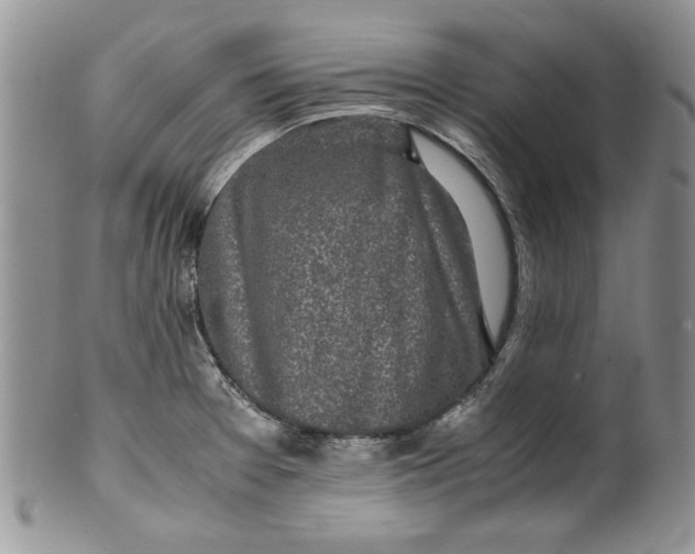 X0000099931377200806131352