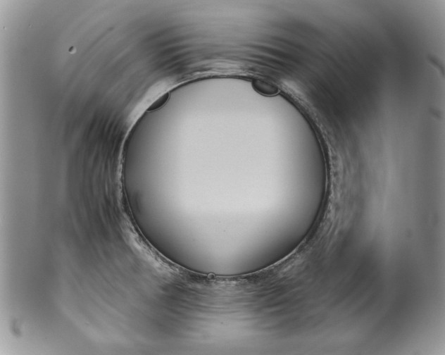 X0000099931378200806131352