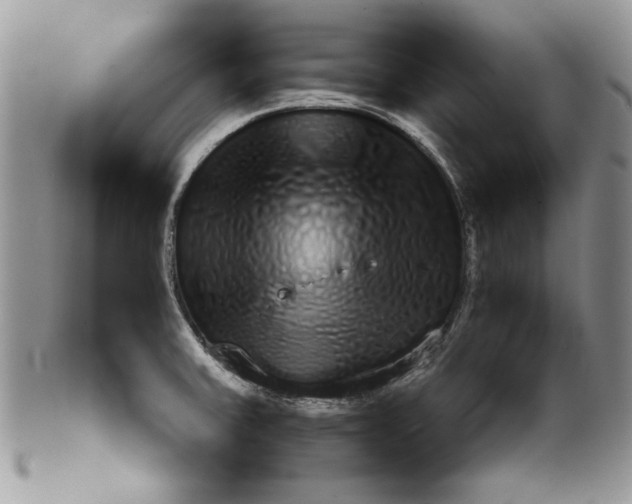 X0000099931379200806131352