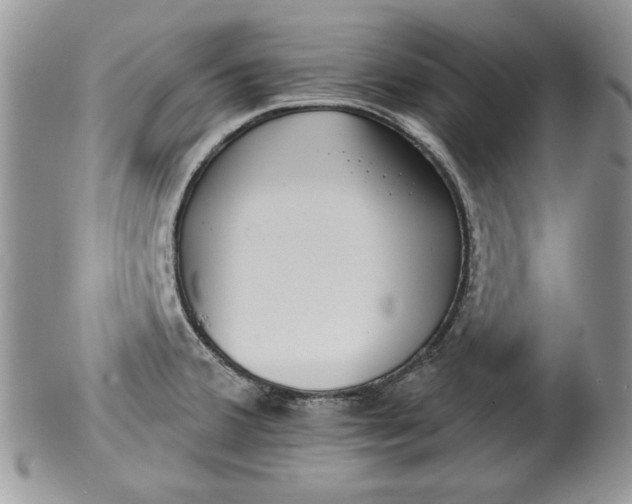 X0000099931380200806131352