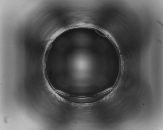 X0000099931381200806131352