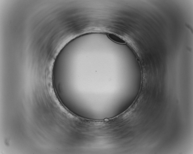 X0000099931382200806131352