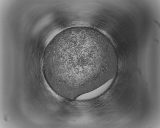 X0000099931383200806131352