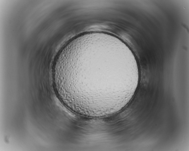 X0000099931384200806131352