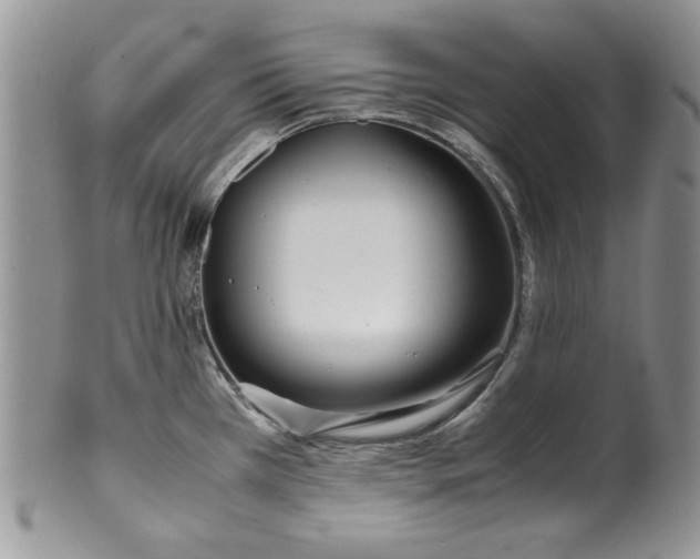 X0000099931385200806131352