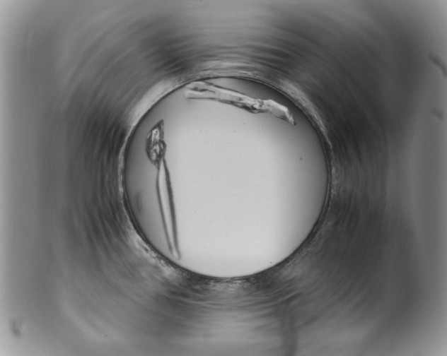 X0000099931386200806131352