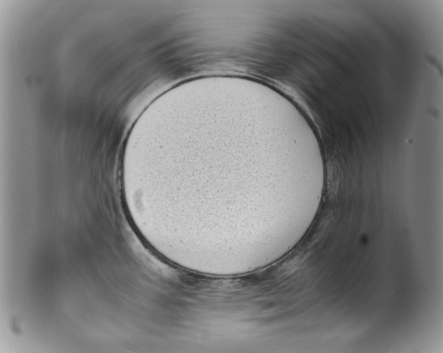 X0000099931387200806131352