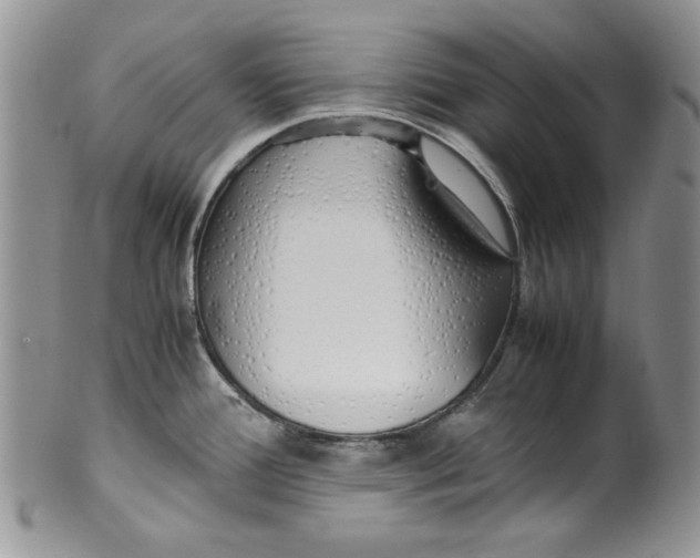 X0000099931388200806131352