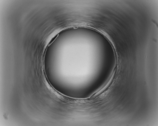 X0000099931389200806131352