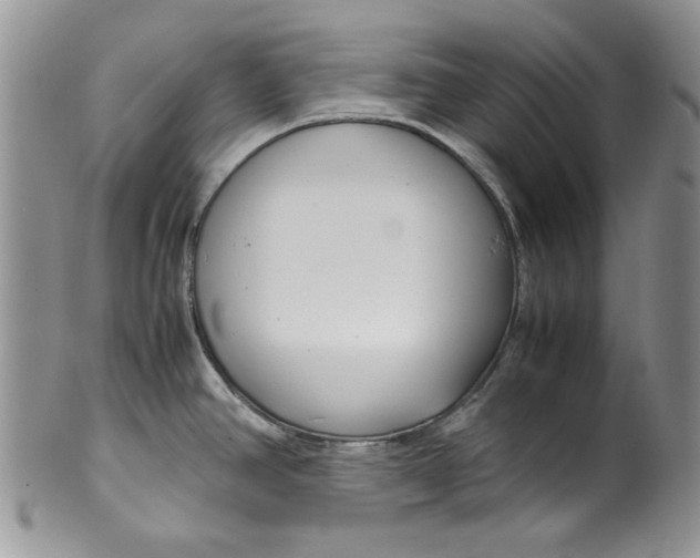 X0000099931390200806131352