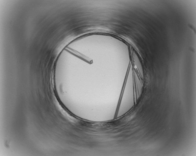 X0000099931391200806131352