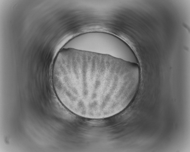 X0000099931392200806131352