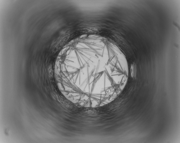 X0000099931395200806131352